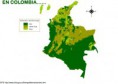 /album/fotogaleria/energia-biomasa-en-colombia-jpg/